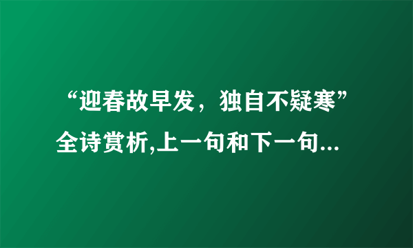 “迎春故早发，独自不疑寒”全诗赏析,上一句和下一句-出自谢燮《早梅》-飞外