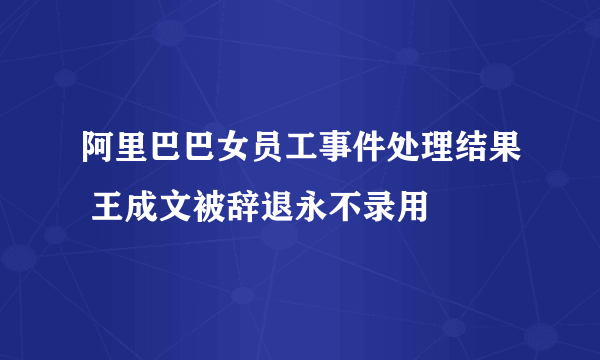 阿里巴巴女员工事件处理结果 王成文被辞退永不录用