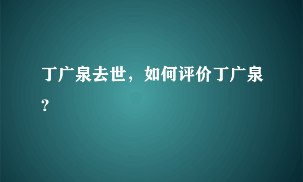 丁广泉去世，如何评价丁广泉？