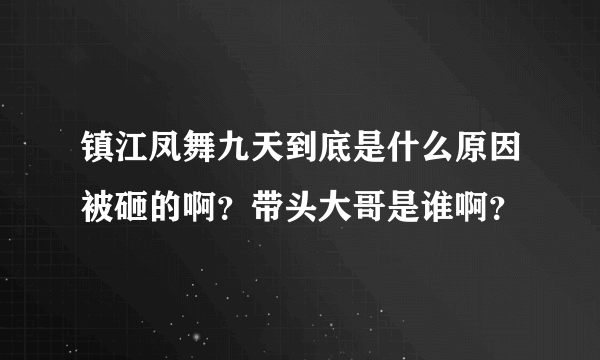 镇江凤舞九天到底是什么原因被砸的啊？带头大哥是谁啊？