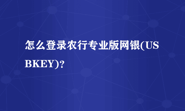 怎么登录农行专业版网银(USBKEY)？