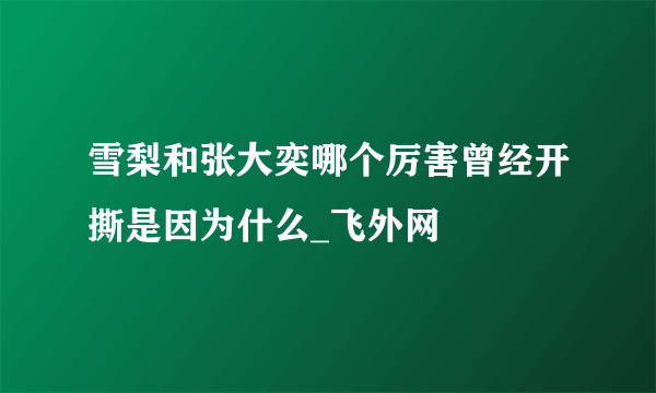 雪梨和张大奕哪个厉害曾经开撕是因为什么_飞外网