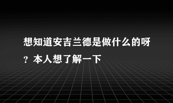 想知道安吉兰德是做什么的呀？本人想了解一下