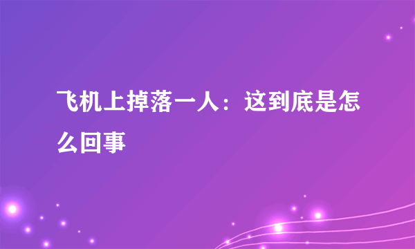 飞机上掉落一人：这到底是怎么回事