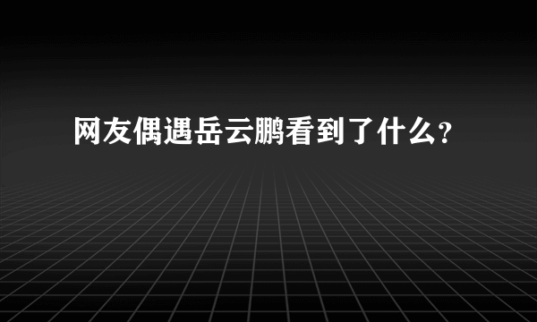 网友偶遇岳云鹏看到了什么？