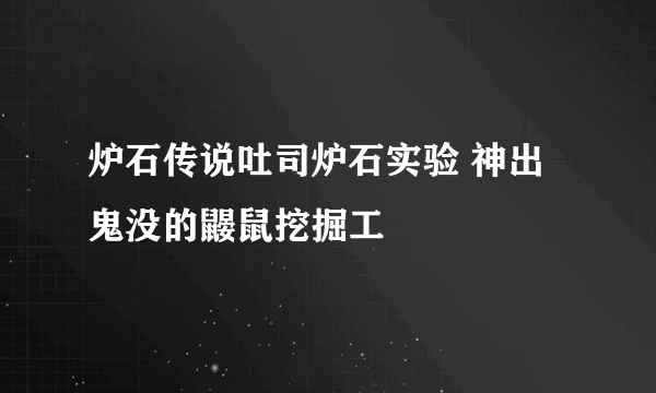 炉石传说吐司炉石实验 神出鬼没的鼹鼠挖掘工