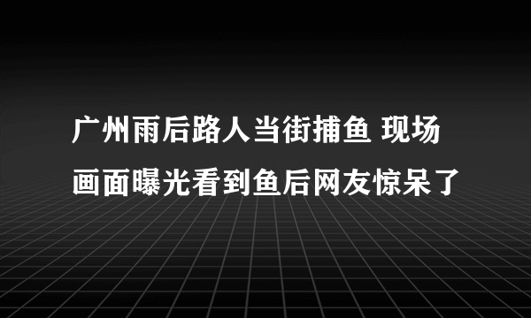 广州雨后路人当街捕鱼 现场画面曝光看到鱼后网友惊呆了