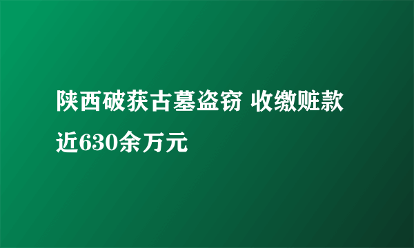 陕西破获古墓盗窃 收缴赃款近630余万元