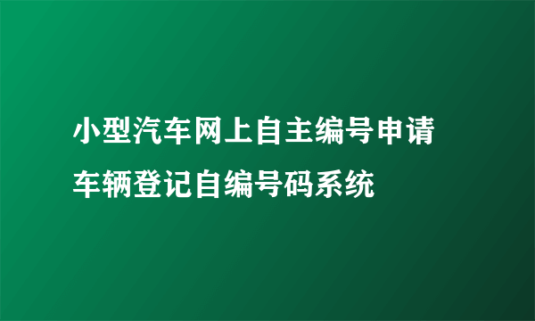 小型汽车网上自主编号申请 车辆登记自编号码系统