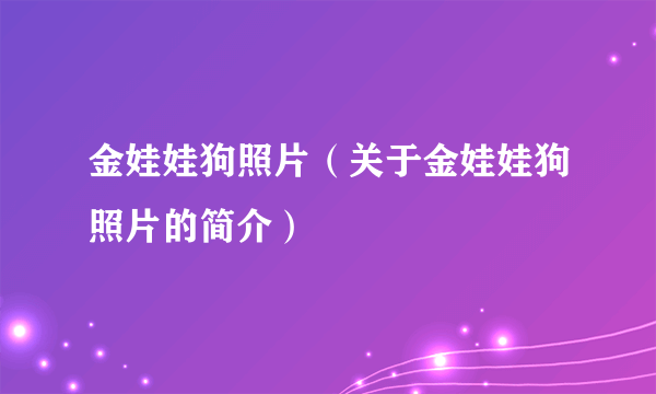 金娃娃狗照片（关于金娃娃狗照片的简介）