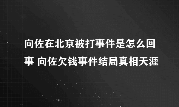 向佐在北京被打事件是怎么回事 向佐欠钱事件结局真相天涯