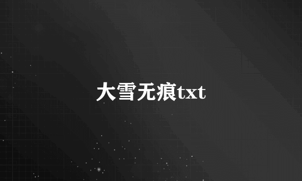 大雪无痕txt