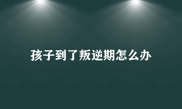 孩子到了叛逆期怎么办