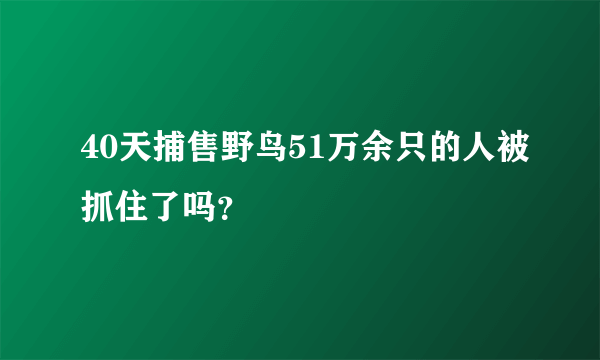 40天捕售野鸟51万余只的人被抓住了吗？