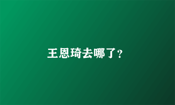 王恩琦去哪了？