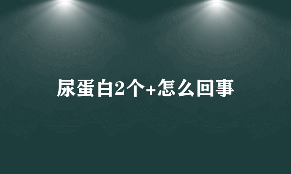 尿蛋白2个+怎么回事