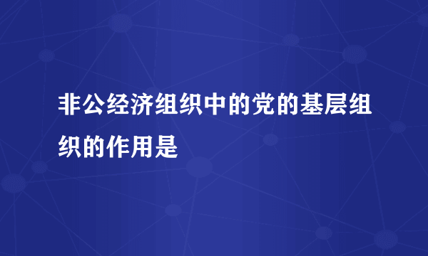 非公经济组织中的党的基层组织的作用是