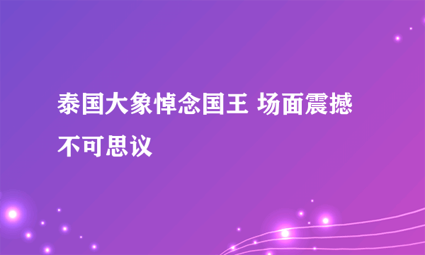 泰国大象悼念国王 场面震撼不可思议