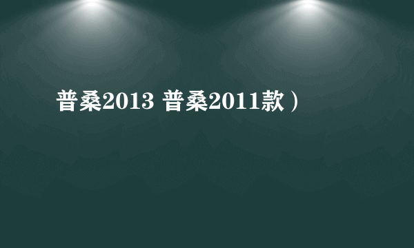 普桑2013 普桑2011款）