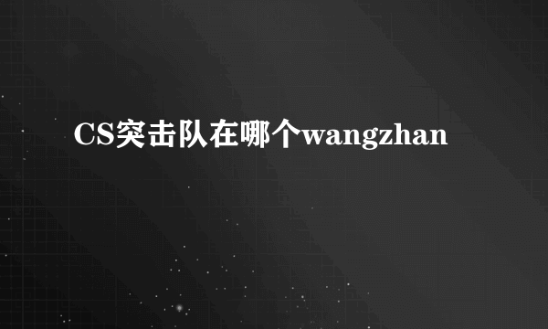 CS突击队在哪个wangzhan