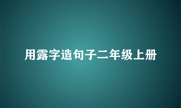 用露字造句子二年级上册