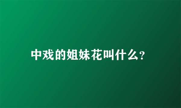 中戏的姐妹花叫什么？