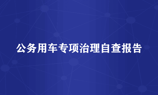 公务用车专项治理自查报告