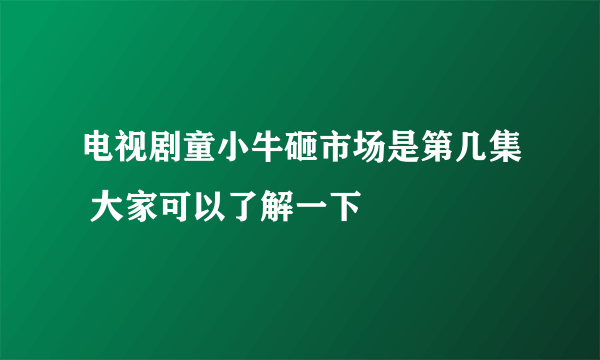 电视剧童小牛砸市场是第几集 大家可以了解一下