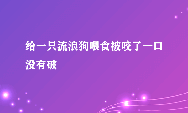 给一只流浪狗喂食被咬了一口没有破