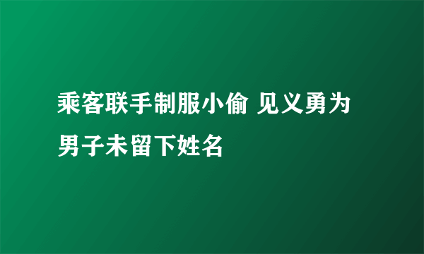 乘客联手制服小偷 见义勇为男子未留下姓名