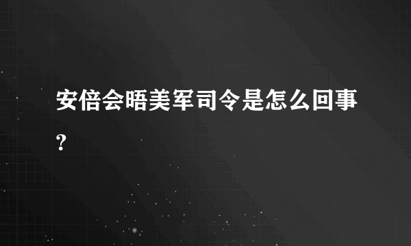 安倍会晤美军司令是怎么回事？