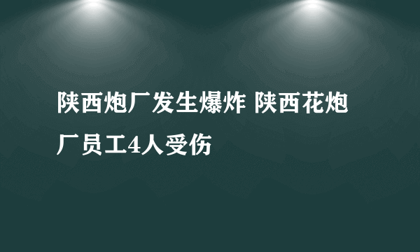 陕西炮厂发生爆炸 陕西花炮厂员工4人受伤