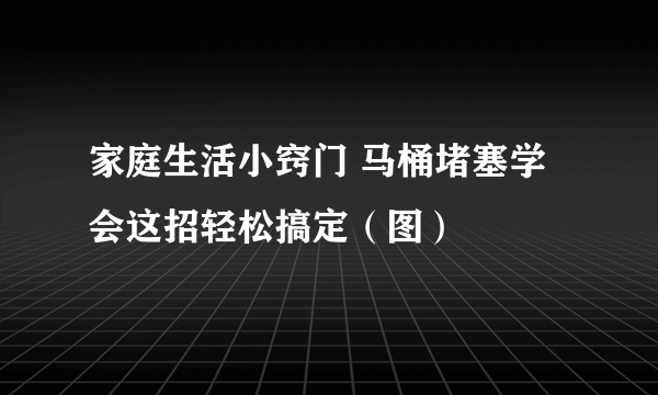 家庭生活小窍门 马桶堵塞学会这招轻松搞定（图）