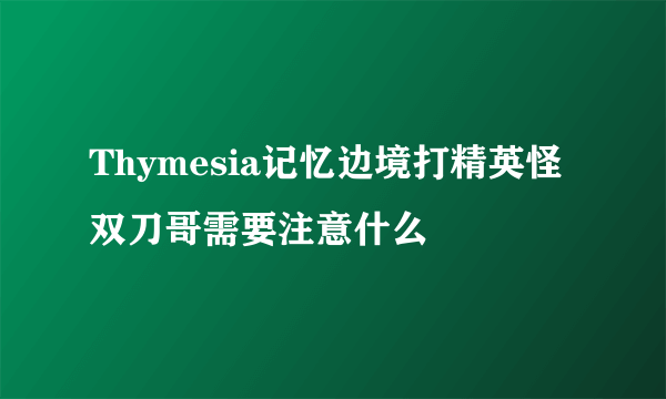 Thymesia记忆边境打精英怪双刀哥需要注意什么