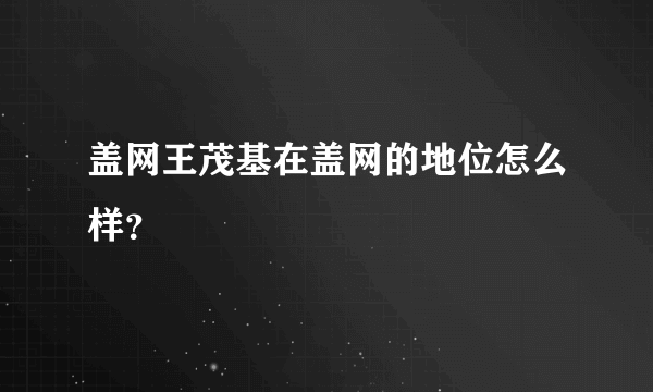 盖网王茂基在盖网的地位怎么样？