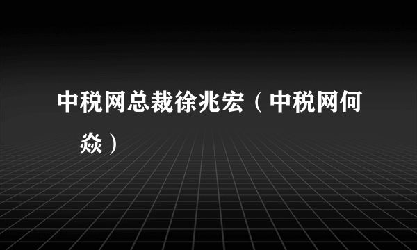 中税网总裁徐兆宏（中税网何垚焱）