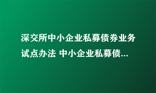 深交所中小企业私募债券业务试点办法 中小企业私募债试点办法 上交所