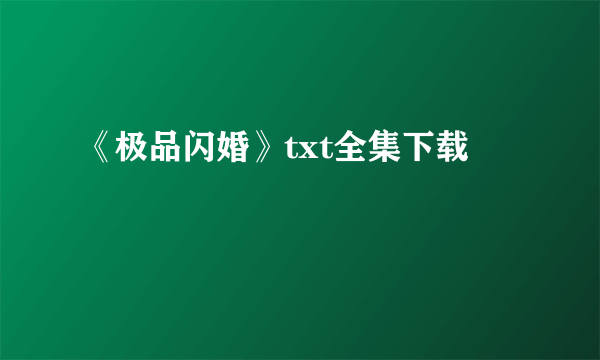 《极品闪婚》txt全集下载