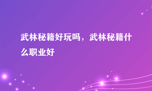 武林秘籍好玩吗，武林秘籍什么职业好