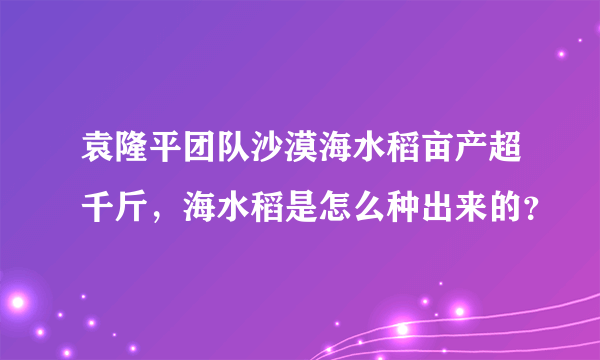 袁隆平团队沙漠海水稻亩产超千斤，海水稻是怎么种出来的？