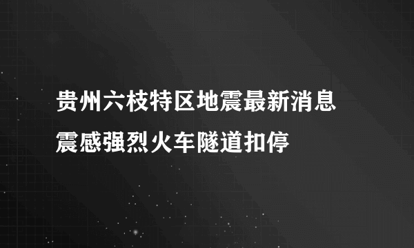 贵州六枝特区地震最新消息 震感强烈火车隧道扣停