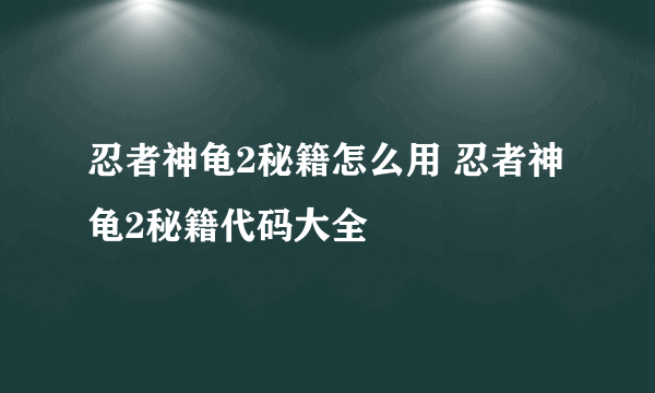 忍者神龟2秘籍怎么用 忍者神龟2秘籍代码大全