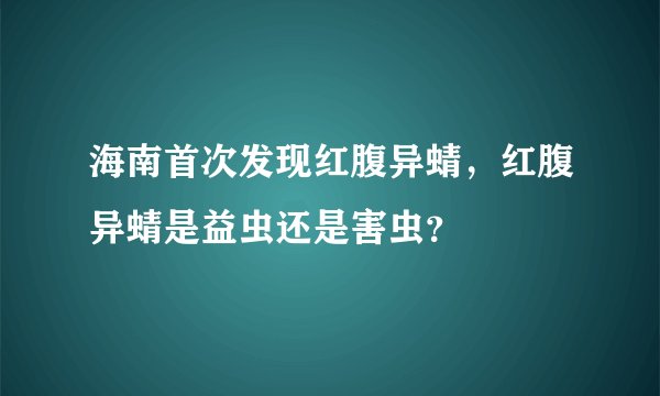 海南首次发现红腹异蜻，红腹异蜻是益虫还是害虫？