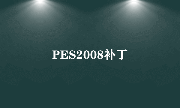 PES2008补丁