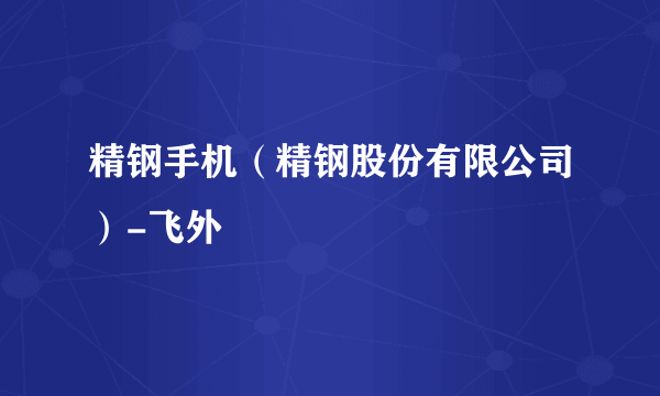 精钢手机（精钢股份有限公司）-飞外