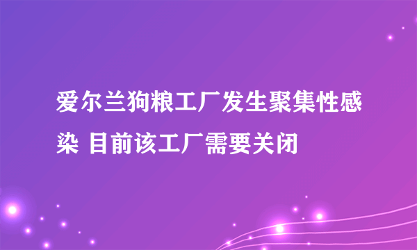 爱尔兰狗粮工厂发生聚集性感染 目前该工厂需要关闭