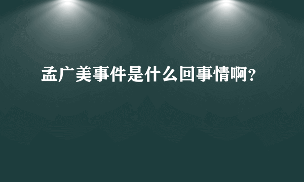 孟广美事件是什么回事情啊？