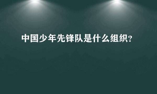 中国少年先锋队是什么组织？