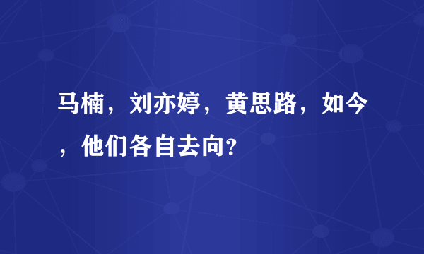 马楠，刘亦婷，黄思路，如今，他们各自去向？