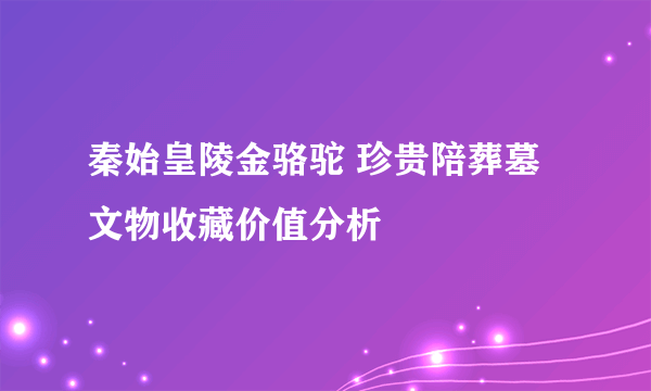 秦始皇陵金骆驼 珍贵陪葬墓文物收藏价值分析